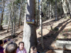 IMG_20231118_110107