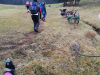 IMG_20250208_093647